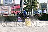 MEC06_4265.jpg