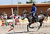 MEC06_4266.jpg