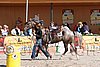 MEC06_4304.jpg