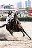 MEC06_4339.jpg