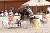 MEC06_4340.jpg