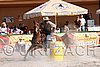 MEC06_4344.jpg