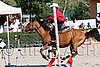 MEC06_4356.jpg
