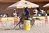 MEC06_4369.jpg