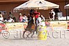MEC06_4376.jpg