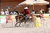 MEC06_4382.jpg
