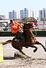 MEC06_4391.jpg
