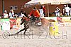 MEC06_4393.jpg