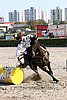 MEC06_4413.jpg