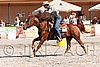 MEC06_4422.jpg