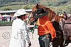 MEC06_4447.jpg