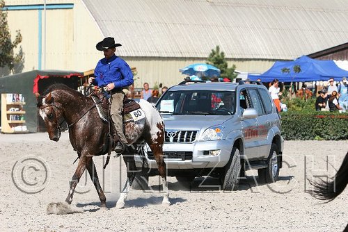 MEC06_4466.jpg