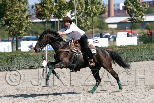 MEC06_4506.jpg