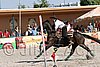 MEC06_4508.jpg