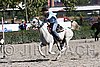 MEC06_4509.jpg