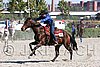 MEC06_4528.jpg