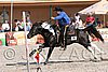 MEC06_4532.jpg