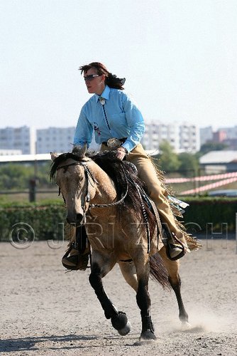 MEC06_4023.jpg