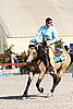 MEC06_4018.jpg
