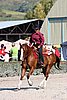 MEC06_4039.jpg