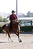MEC06_4040.jpg