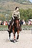 MEC06_4133.jpg