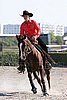 MEC06_4151.jpg