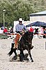 MEC06_4173.jpg