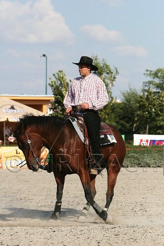 MEC06_4557.jpg