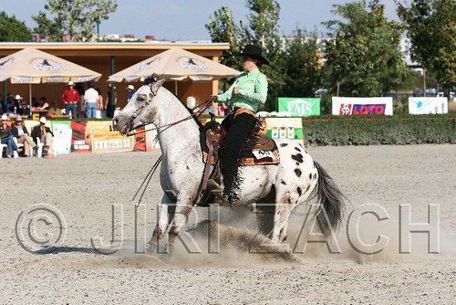 MEC06_4562.jpg