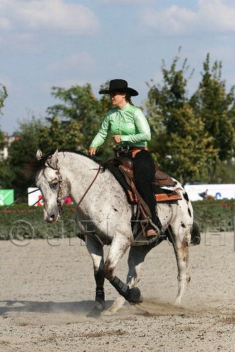 MEC06_4572.jpg