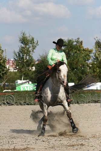 MEC06_4574.jpg