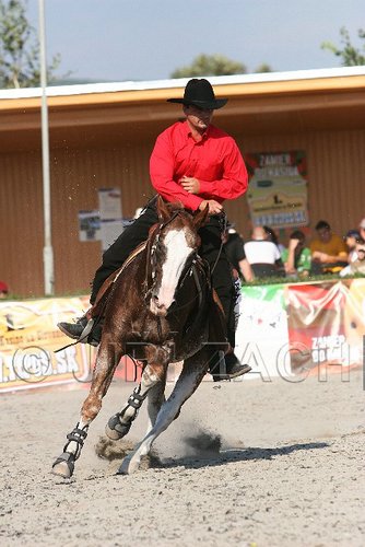 MEC06_4581.jpg