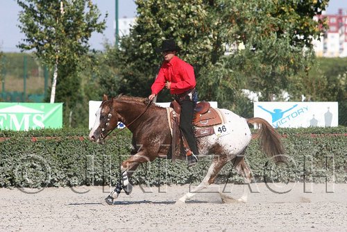MEC06_4582.jpg