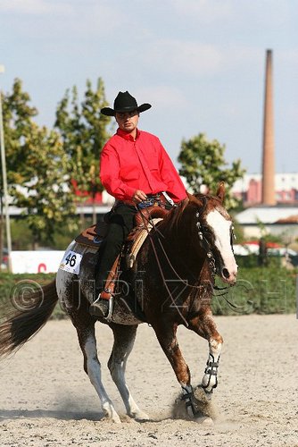 MEC06_4586.jpg