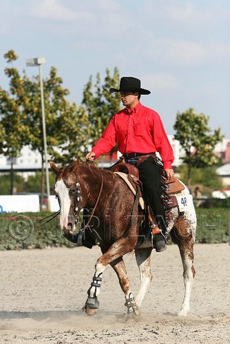 MEC06_4588.jpg