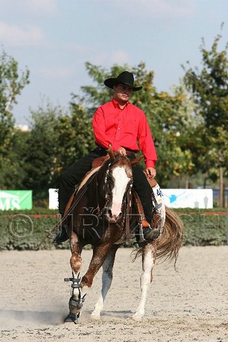 MEC06_4591.jpg