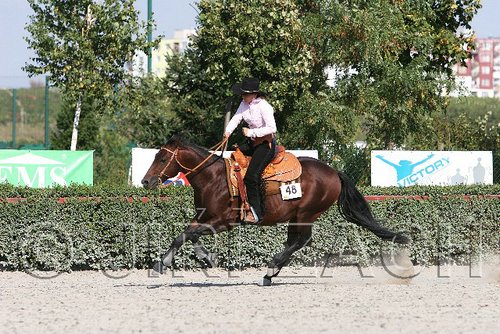 MEC06_4597.jpg