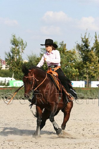 MEC06_4603.jpg