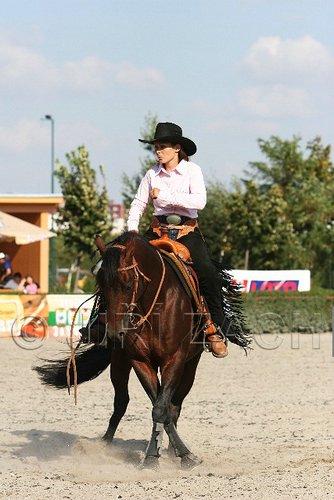 MEC06_4604.jpg