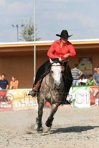 MEC06_4631.jpg