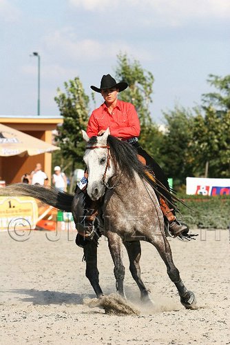 MEC06_4636.jpg