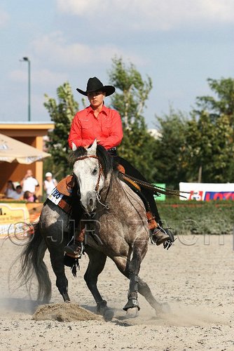 MEC06_4637.jpg