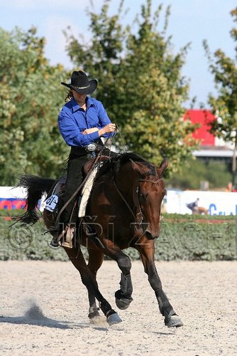 MEC06_4649.jpg