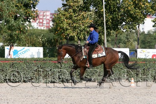 MEC06_4653.jpg