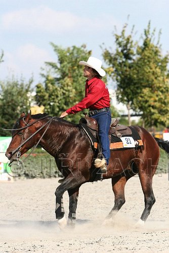 MEC06_4679.jpg