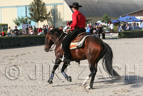 MEC06_4694.jpg