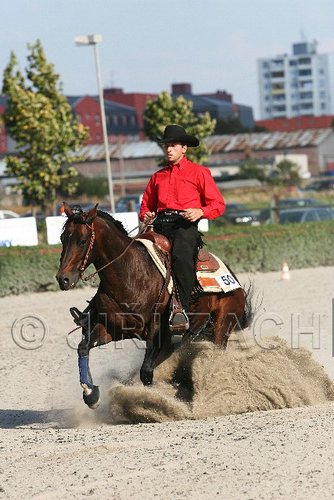 MEC06_4695.jpg