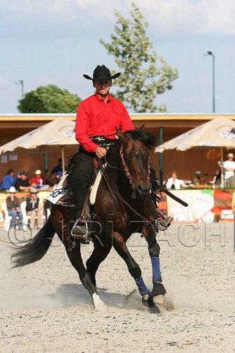MEC06_4699.jpg