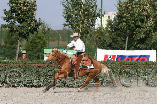 MEC06_4734.jpg